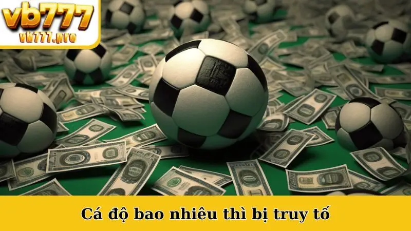 Cá Độ Bao Nhiêu Thì Bị Truy Tố