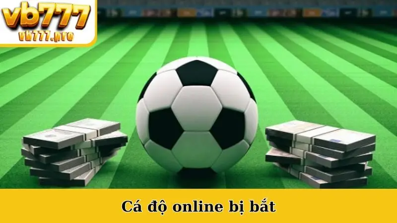 Cá Độ Online Bị Bắt