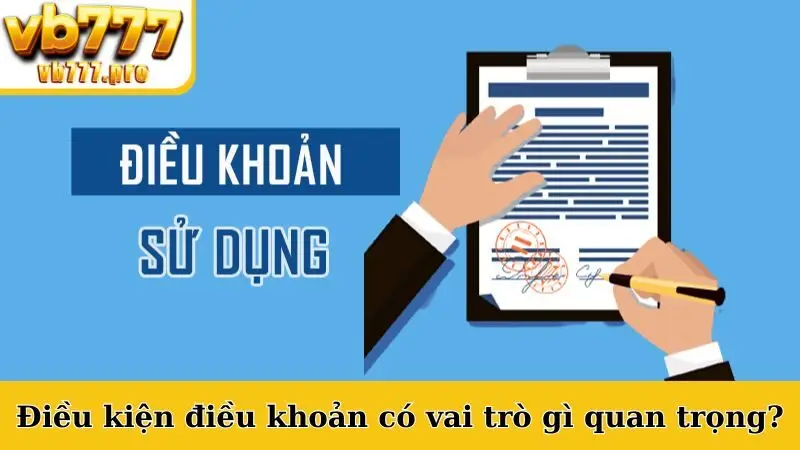 Điều kiện điều khoản có vai trò gì quan trọng?