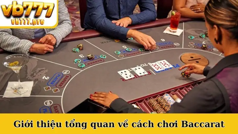 Giới thiệu tổng quan sức hút cách chơi Baccarat
