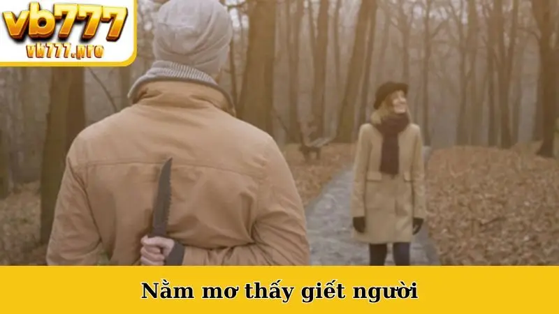 Nằm Mơ Thấy Giết Người